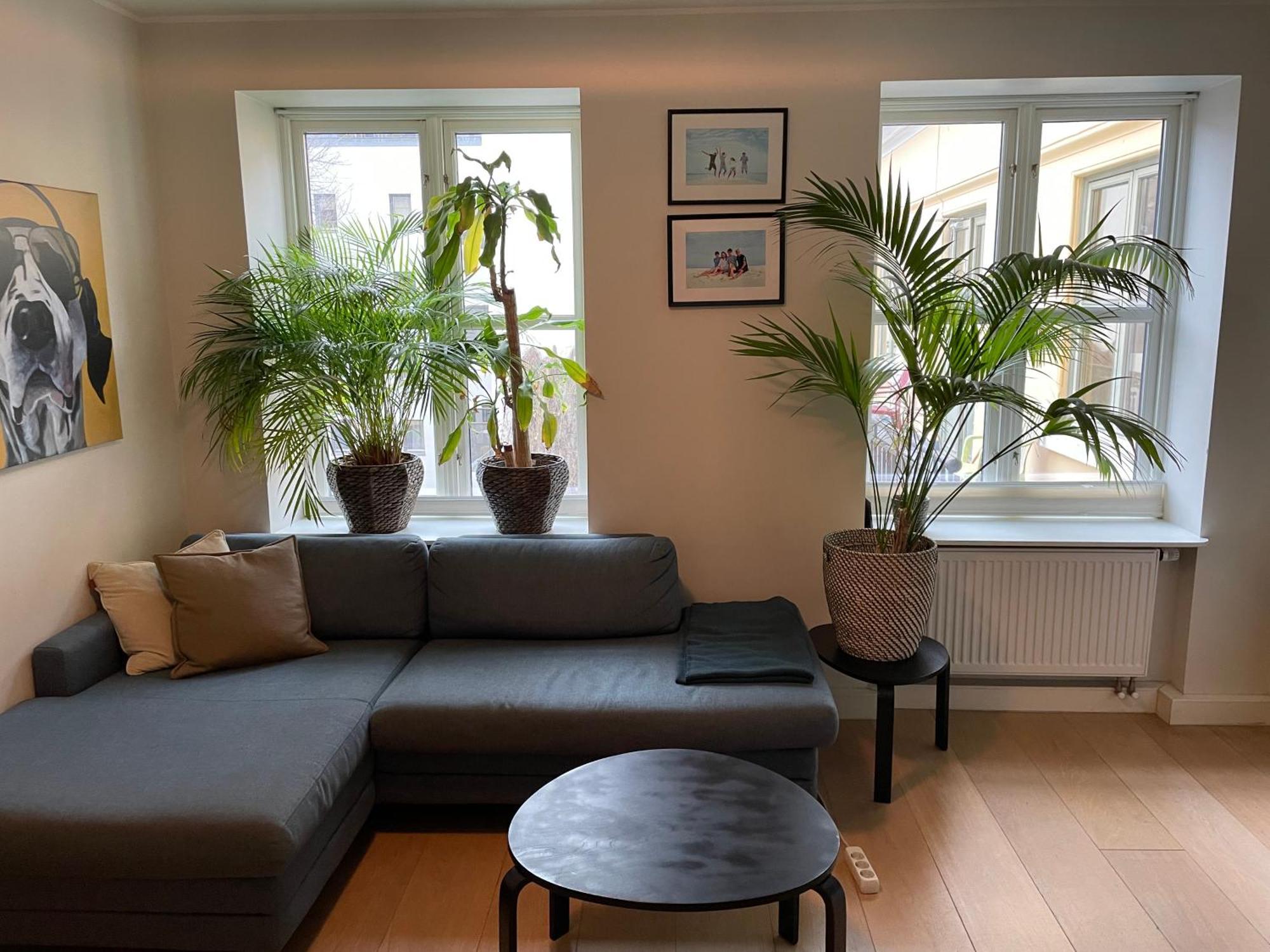 Stroken Loftleilighet Midt I Oslo. 외부 사진