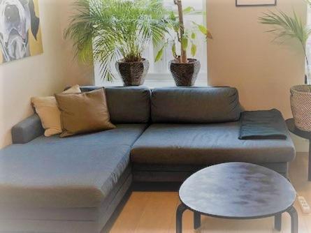 Stroken Loftleilighet Midt I Oslo. 외부 사진